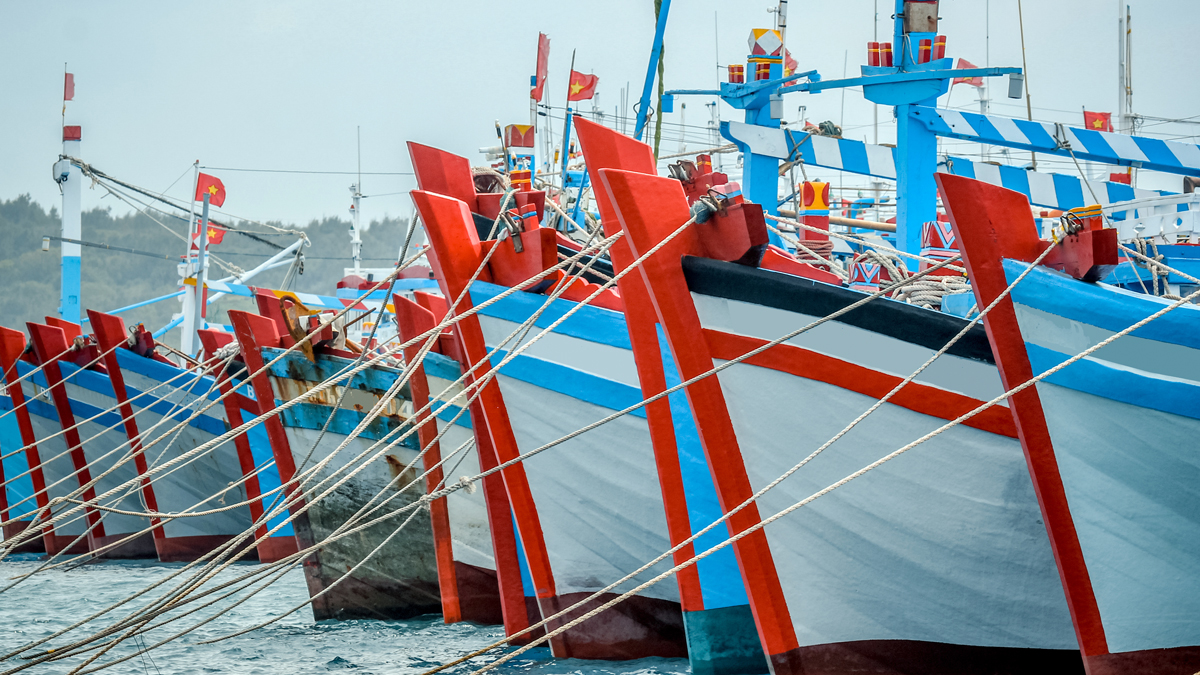 boats