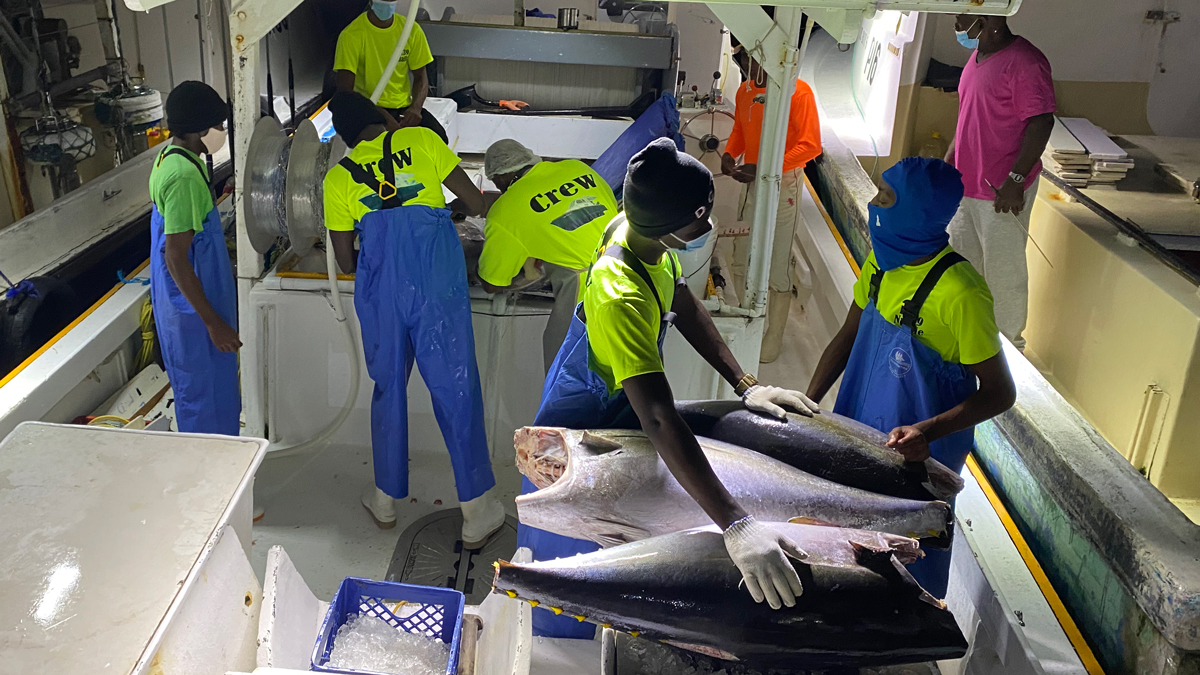 swordfish