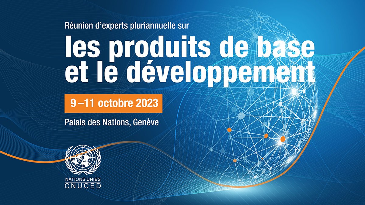 Multi-year Expert Meetings on Commodities and Development, fourteenth session
