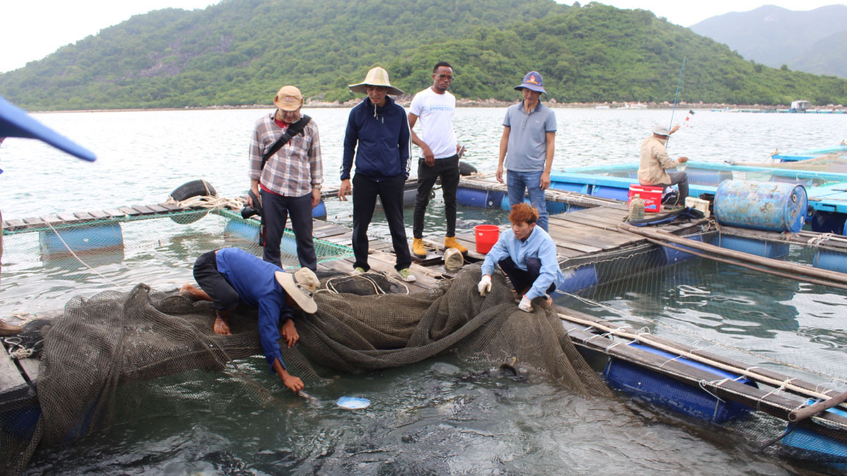 Angolan fisheries experts during a site visit to better understand the Vietnamese approach.