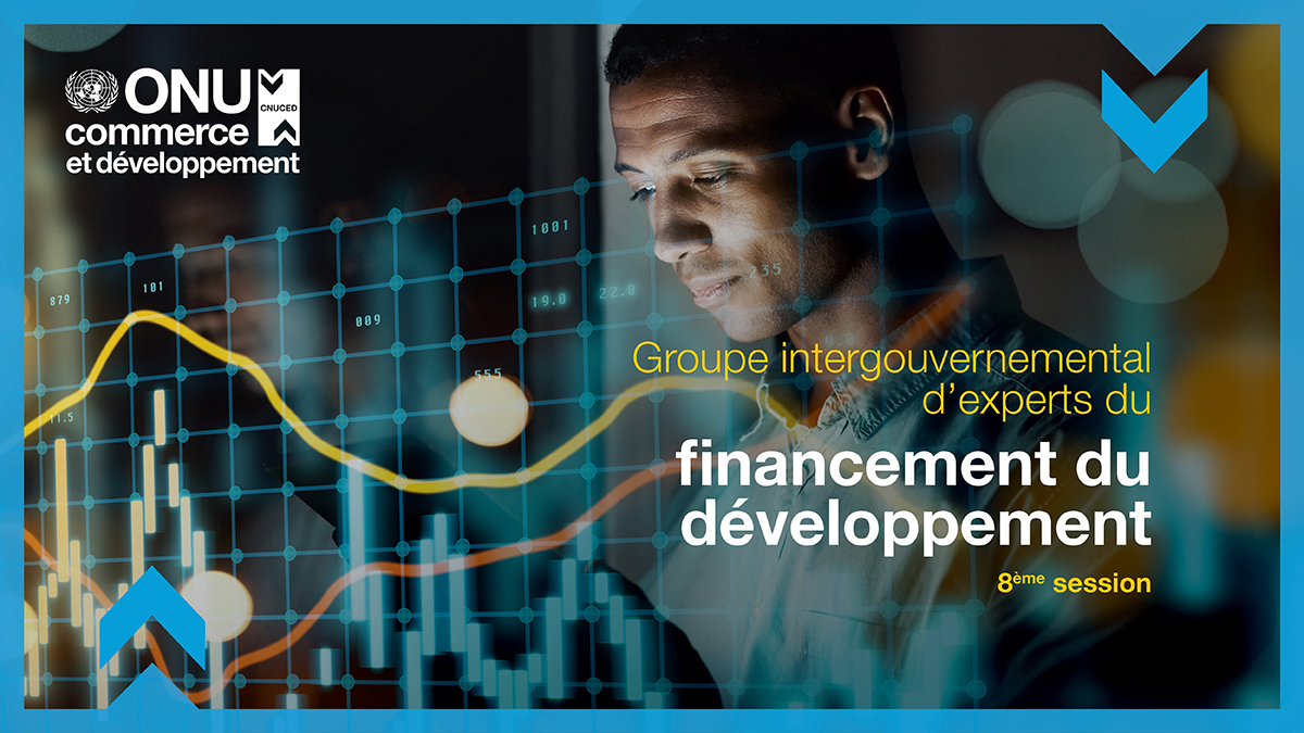IGE on Financing for Development, eighth session