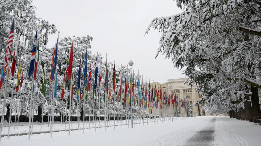 palais des nations neige