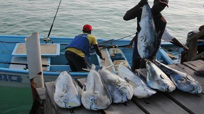 Fishing Industry