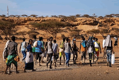 Migrants