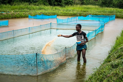Fish farm