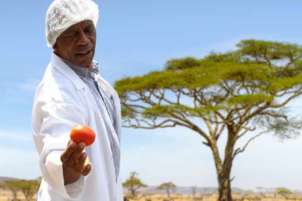 UN-CEB Tanzania