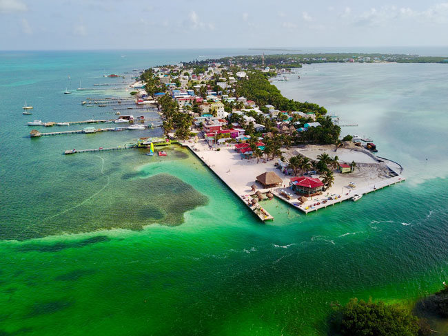 ditc-ted-08052018-Oceans-Belize-green-1-650.jpg