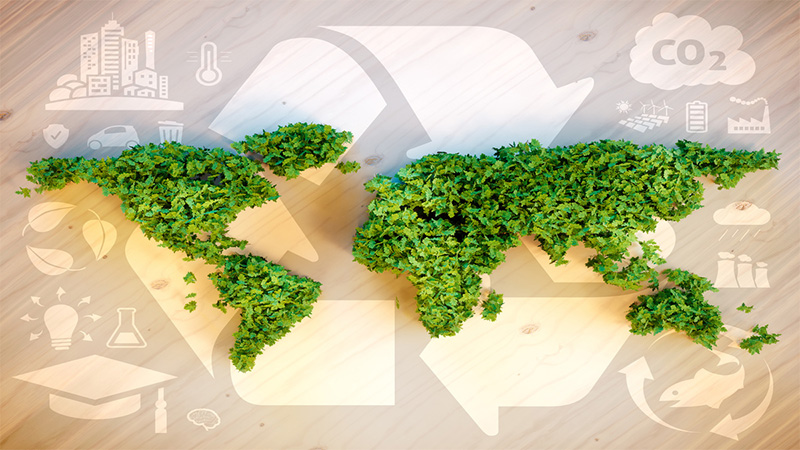 Voluntary Sustainability Standards