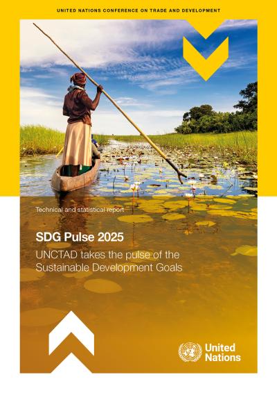 Cover for SDG Pulse 2025