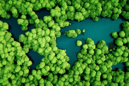 Sustainable public procurement can help us build back better after COVID-19 