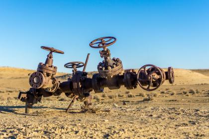 Landlocked central Asian nations show potential beyond commodities