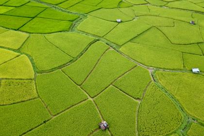 Developing countries use space technology to combat food insecurity 