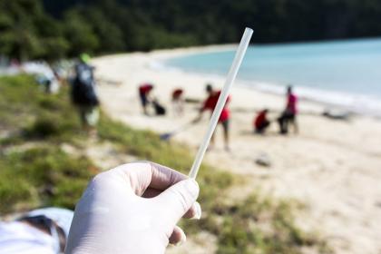 Jamaican start-up shows potential of plastics substitutes