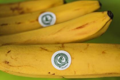 Sustainability standards are a powerful tool to protect biodiversity