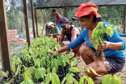 Study shows COVID-19 effects on trade in biodiversity products 