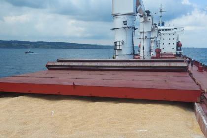 Black Sea Grain Initiative helps stabilize global food markets