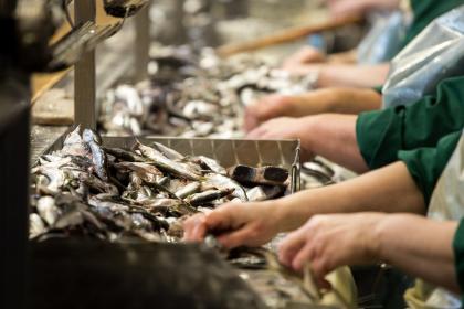 Global ‘Blue Deal’ urgently needed to protect and invest in our ocean