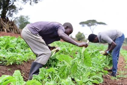 Climate-smart agriculture: How satellite technology can help