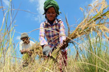 Le Forum mondial de l'investissement mobilisera des financements pour le climat, l'énergie, la santé et l'alimentation
