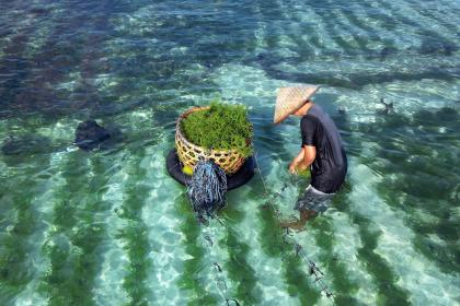 UN biodiversity conference 2024 to feature first-ever ‘Trade Day’