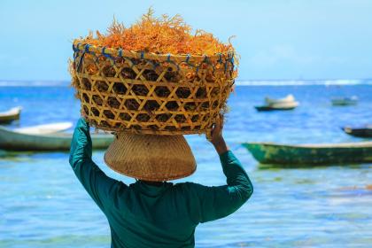 5th UN Ocean Forum: How trade and innovation can unlock the blue economy