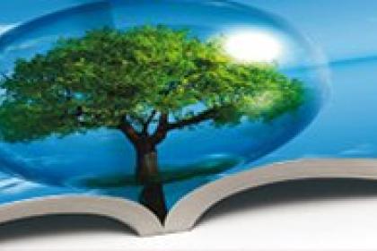 Global goals offer clear objectives for corporate sustainability reporting, but challenges remain