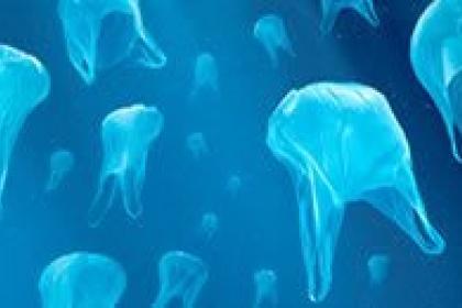Our plastic addiction threatens global fish stocks — Q&A with the International Oceans Institute