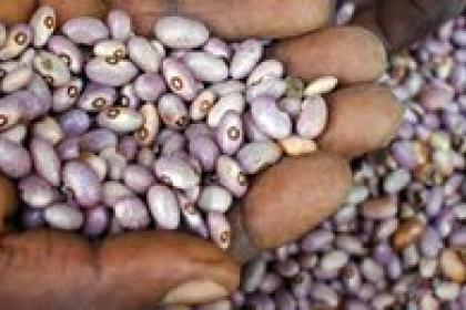 Organic Farming and its Economic Opportunities in East Africa, Arusha International Conference Center, Tanzania (1-2 June 2017)