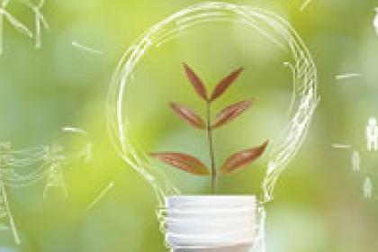 Green energy could help developing countries diversify their economies