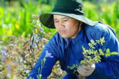 Adding economic value to biodiversity will help save it