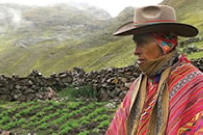 Peru's BioTrade sales reach new high but challenges to growth remain