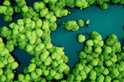 To keep track of the SDGs, we need a data revolution