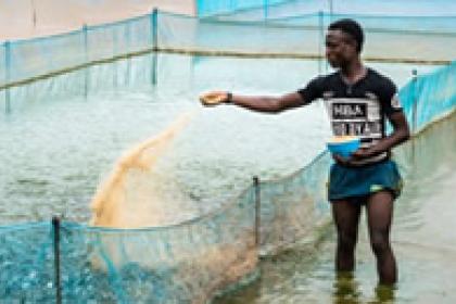 Learning to scale fisheries for better livelihoods 