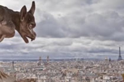 Notre-Dame a reminder of dual value of cultural spaces