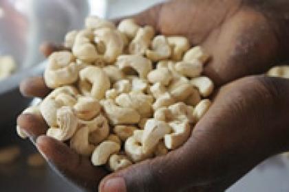 Ground-breaking project helps countries green their trade 