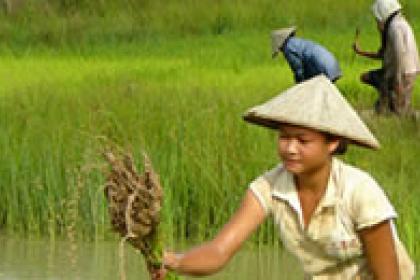 Lao PDR on track to meet least developed country graduation criteria for a second time