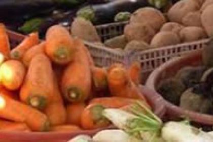 COVID-19 and food security in vulnerable countries