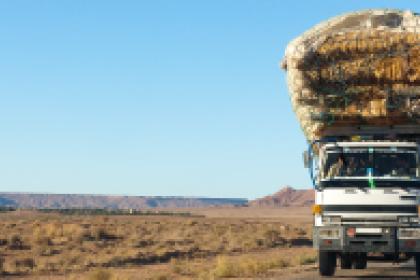 COVID-19: UN calls on governments to help landlocked neighbours