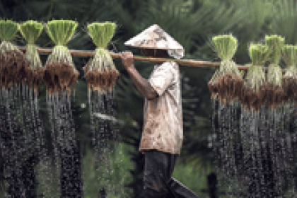 Laos government sees bright future for organic farming